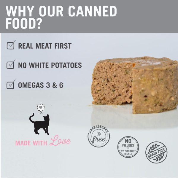 I And Love And You Grain Free Savory Salmon Pate Canned Cat Food Online Hot Sale